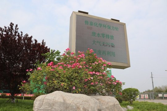 公司风景